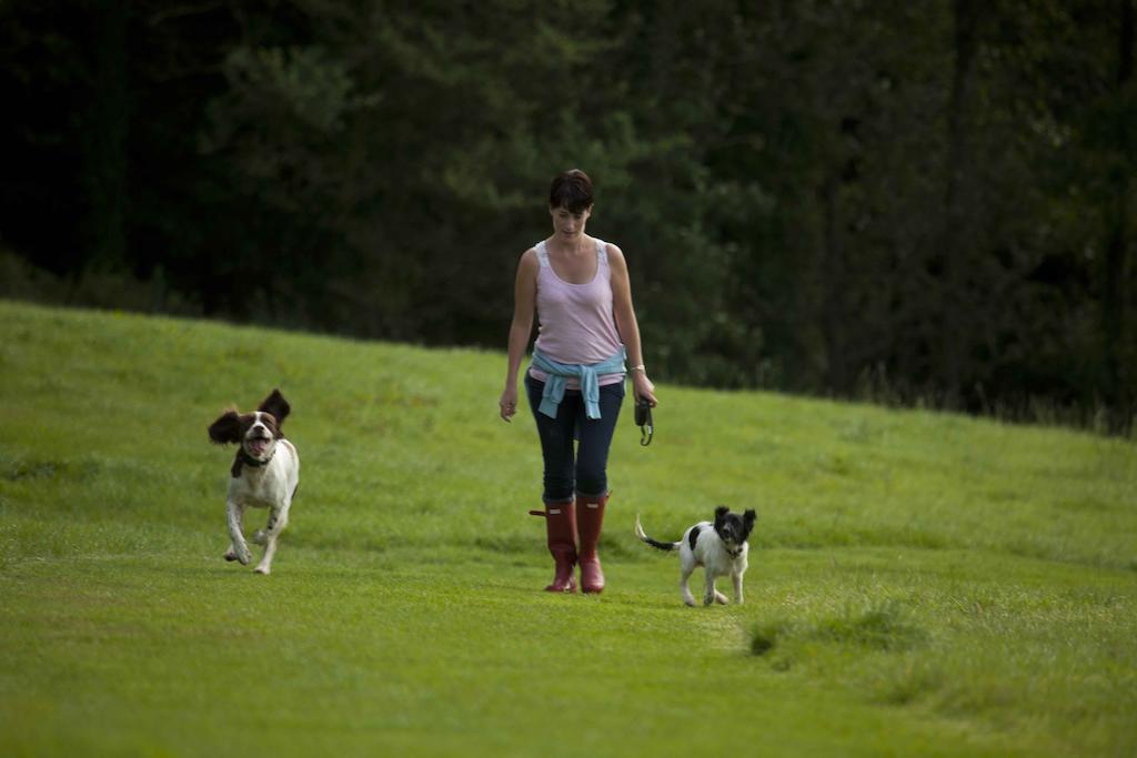 Wooda Farm Holidays Bude Luaran gambar