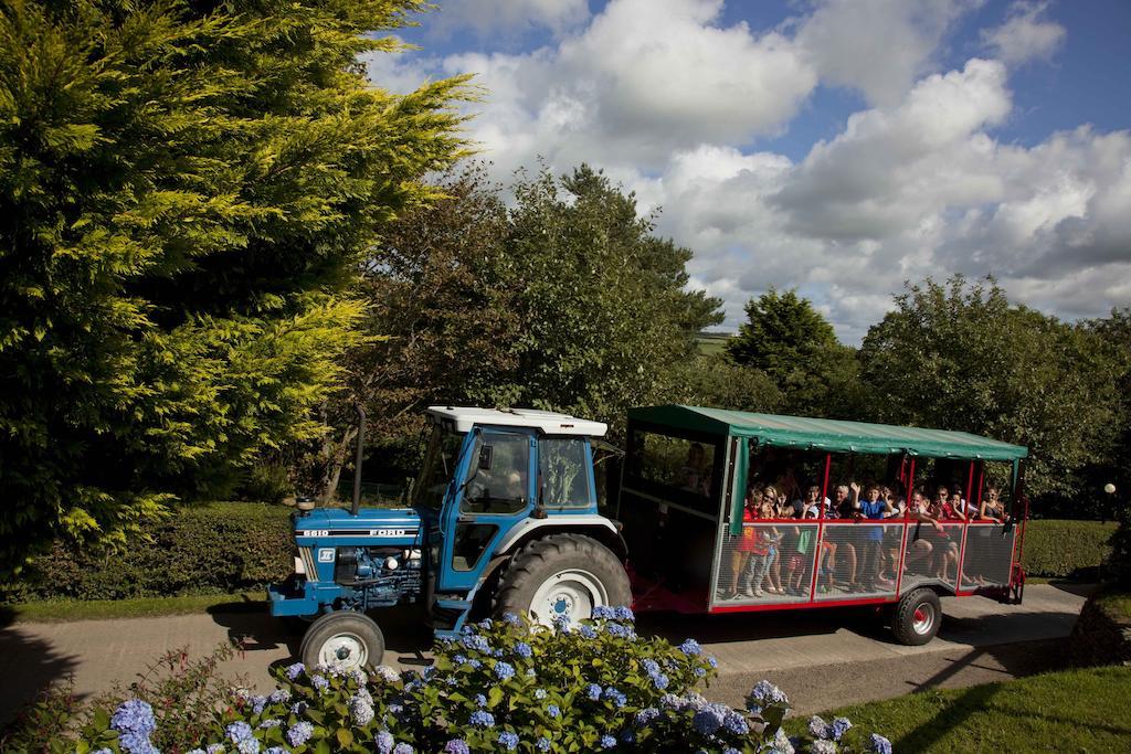 Wooda Farm Holidays Bude Luaran gambar