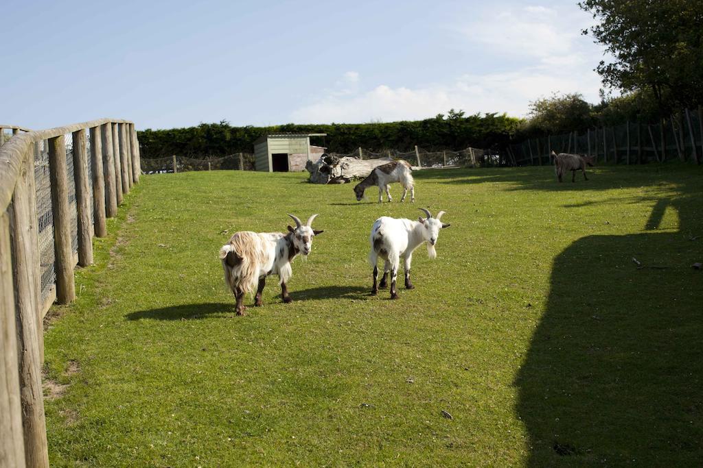 Wooda Farm Holidays Bude Luaran gambar